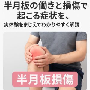 半月板の働きと損傷で起こる症状を、実体験をまじえてわかりやすく解説