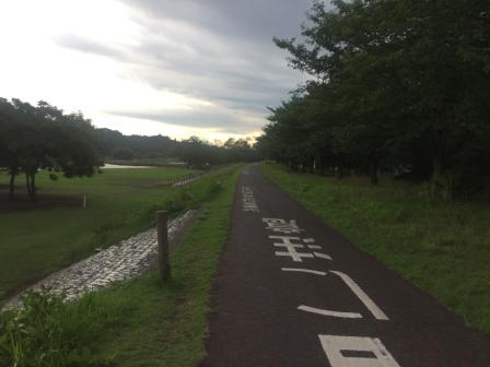 緑が多くて走りやすいコース